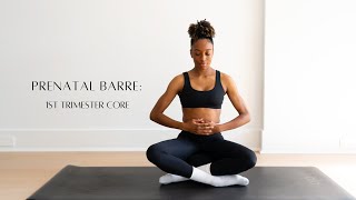 Prenatal Barre 1st Trimester Core [upl. by Ylsew]