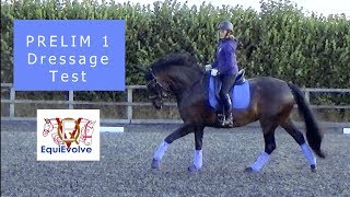 Learn The Prelim 1 2006 Dressage Test [upl. by Nelleyram]