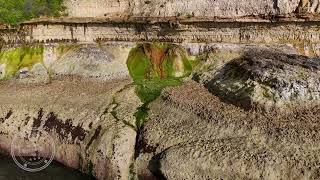 Falaises dEtretat eaux de Thalweg et algues  Drone 4K  FRANCE [upl. by Lael]