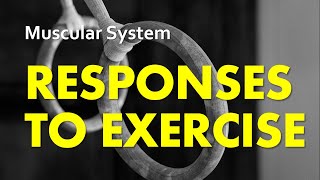 Responses to Exercise  Muscular System 07  Anatomy amp Physiology [upl. by Mahalia689]