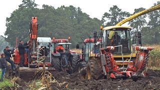 Harvesting Mais In The Mud  New Holland FX  Modderen  Vastzitten  Sundermeijer [upl. by Eylloh]