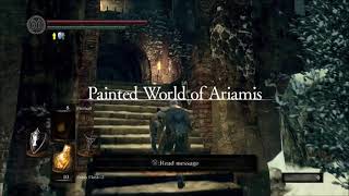 Dark Souls Remastered Xanthous Armor Set Location [upl. by Gerbold]