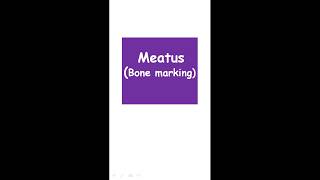 Meatus Bone Marking [upl. by Suki]