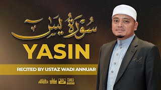 Surah Yasin سُورَةُ يس Recited by Ustaz Wadi Annuar [upl. by Lady496]