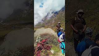 Langtang Diaries Trekking Nepals Scenic Beauty [upl. by Eneryc]