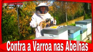 Contra a Varroa nas Abelhas euclidessantanasantana [upl. by Aesoh]