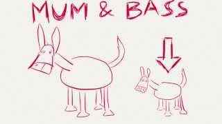 Mum amp Bass Little Donkey with lyrics [upl. by Yann]