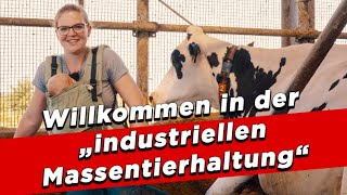 Willkommen in der „industriellen Massentierhaltung“ – My KuhTube Film 802 [upl. by Aninaj]