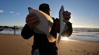 Huge flounder north east Scotland 🎣 Fishing Aberdeenshire 🐟🐟🐟 [upl. by Ahseiym]