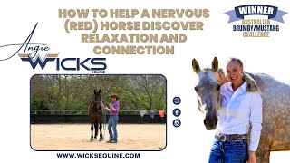 How to Help a Nervous Red Horse Discover Relaxation and Connection [upl. by Leigh]