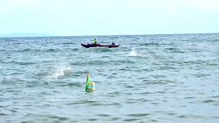 REY 3J RACING VS PINKFLOYD mini RC BOAT race 2024 pooc talisay city cebu [upl. by Clower]