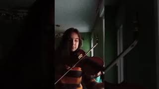 Six Feet UnderBillie Eilishviolin cover [upl. by Stavro564]