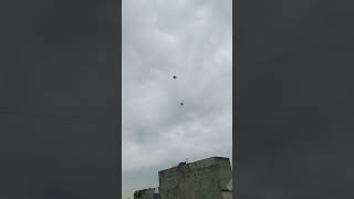 Karta ohi kam😂wait for last✅viralvideo patangbazzi kiteflying amritsar [upl. by Ikceb]