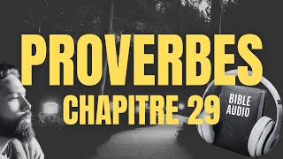 PROVERBE 29  LA BIBLE AUDIO avec textes [upl. by Milon646]