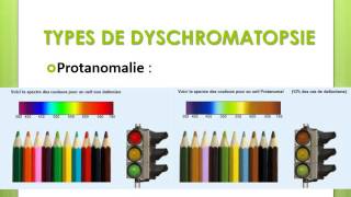 BIOPHYSIQUE Les Dyschromatopsies [upl. by Stralka]