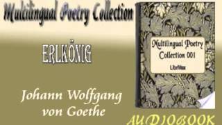 Erlkönig Johann Wolfgang von Goethe Audiobook Poetry [upl. by Mcbride108]