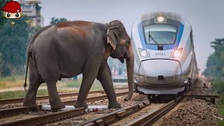 Tragic  30 Horrifying Moments of Animals Colliding with Trains Part2 [upl. by Samled432]