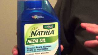 Neem Oil for Plants  Safe Insecticide for Gardens [upl. by Trant]