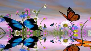 Fantastic Butterfly Screensaver httpwwwscreensavergiftcom [upl. by Nodaj]