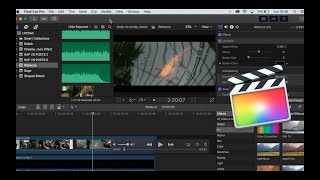 How To Export In Final Cut Pro X Best Export Settings [upl. by Namqul]