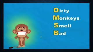 Dirty Monkeys Smell Bad ll long division ll grade 3 [upl. by Ybrek]