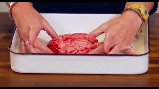 Brain Dissection Biology amp Psychology GCSE Alevel NEET Practical Skills [upl. by Bruno810]