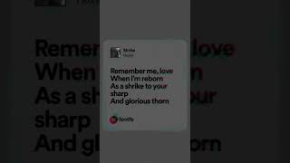 hozier shrike spotifymusic fyp justrandom music lyrics [upl. by Abita]