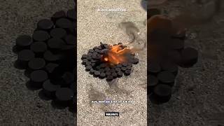 Black snake fire science sciencefacts [upl. by Alilad]