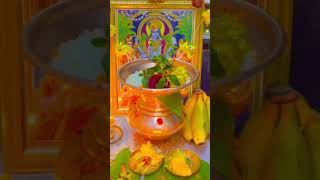 love akkalkotswamisamarthmaharajkijai shyam hinduguru akkalkotswamisamarthamaharajkijai song [upl. by Nylissej]