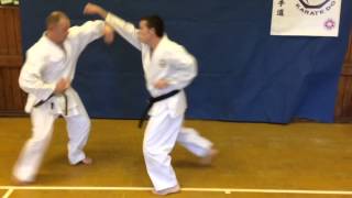 Goju Ryu Karate  Ippon Kumite 3 [upl. by Aserej]