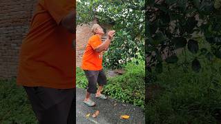 Hap Lalu ditangkap shorts prank funny comedy [upl. by Oilasor473]