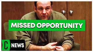 HBO Paid James Gandolfini 3 Million to Turn Down The Office [upl. by Nnazil]