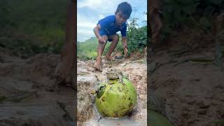 Survival Skills SIMPLE and USEFUL with winter melon bushcraft camping outdoors [upl. by Seften256]