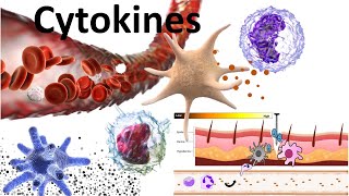 Cytokines  Structure sub families signaling mechanism and biomedical use [upl. by Yema43]