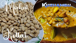 Mochai Kottai kuzhambu  மொச்சை கொட்டை காரகுழம்பு 😋 cookingwithammu cooking tamil mochaikulambu [upl. by Ilehs]