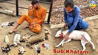 Sub Kuch Khatam Ho Gya [upl. by Anassor588]