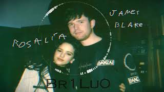 James Blake  Barefoot in the Park ft Rosalía Br1Lu0 Remix [upl. by Ataynik]