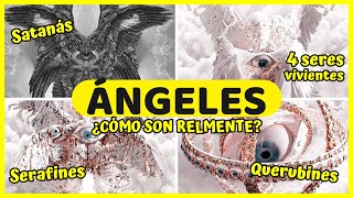 Los Ángeles en la Biblia Descubre como realmente se ven angeles [upl. by Yelyac579]