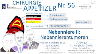 Nebenniere II Nebennierentumoren Cushing Conn Phäo Inzidentalom CHIRURGIE APPetizer Nr 56 [upl. by Ellora]