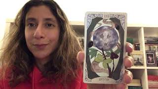 Unboxing  Foragers Daughter Tarot Afterlight Edition [upl. by Nnasor]