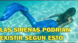 ¿Estás seguro de que las SIRENAS no son REALES ¡MIRA ESTO [upl. by Adnih]