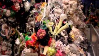 Hyperbolic Crochet Coral Reef at Smithsonian with Grandmother [upl. by Wilfreda]