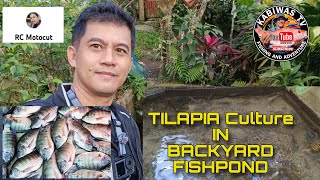 Ideal Backyard fishpond for Tilapia culture [upl. by Gnok183]