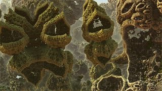 Alien Land  A Fractal Journey HD 1080p60fps [upl. by Llehsyt]