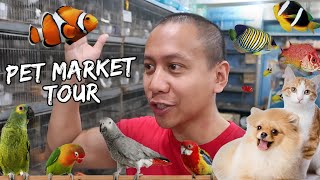 Pet Market Tour  Vlog 370 [upl. by Alvan]