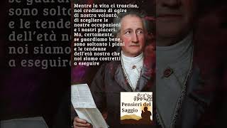 Johann Wolfgang Von Goethe Mentre la vita ci trascina [upl. by Redliw]