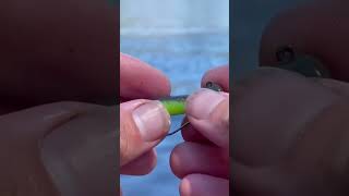 How To Rig a Weedless Ned Rig A StepbyStep Guide shorts fishing [upl. by Jae]