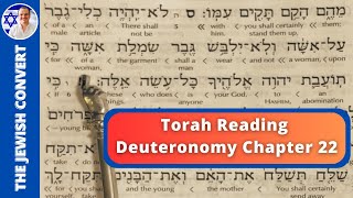 Deuteronomy Chapter 22  Torah Reading in Hebrew with English Translation  TORAH STUDY [upl. by Annice861]