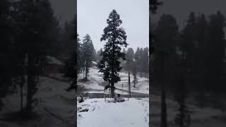 VIDEOSkiresort Gulmarg receives first snowfall of the winter season kashmir news beautiful [upl. by Eelano618]