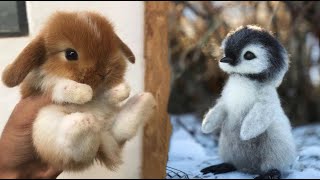 AWW Animals SOO Cute Cute baby animals Videos Compilation cute moment of the animals 3 [upl. by Aniras]